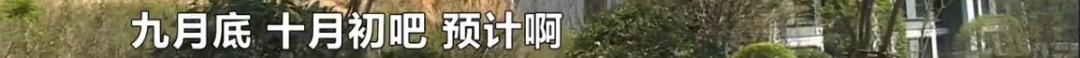 DƬ